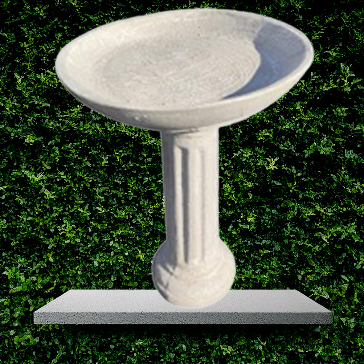 Bird Bath